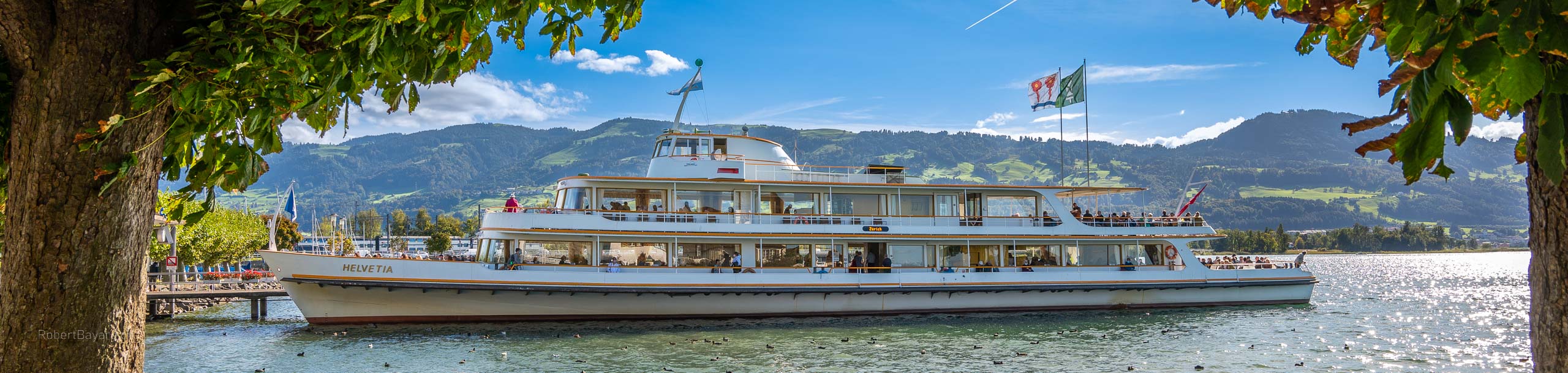 Motorschiffe Zürichsee