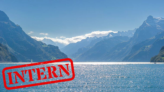 Intern