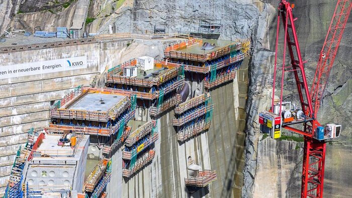 Grimsel Staumauer Spitallamm