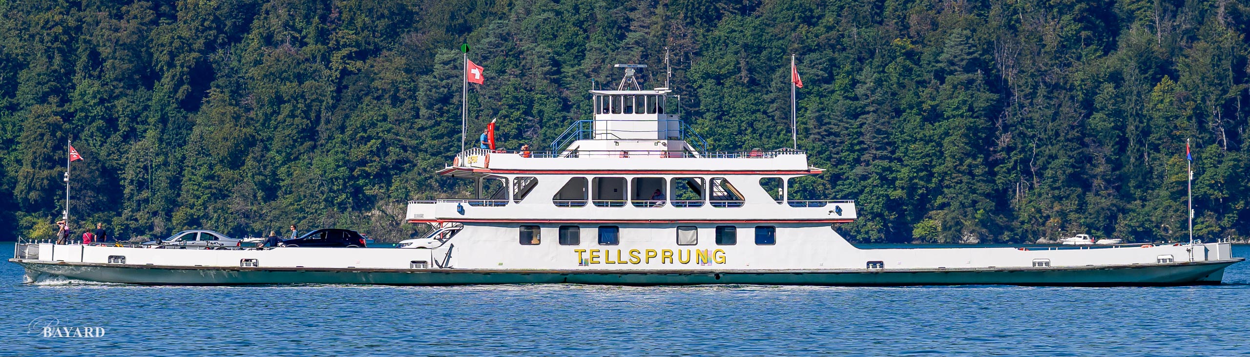 MS Tellsprung